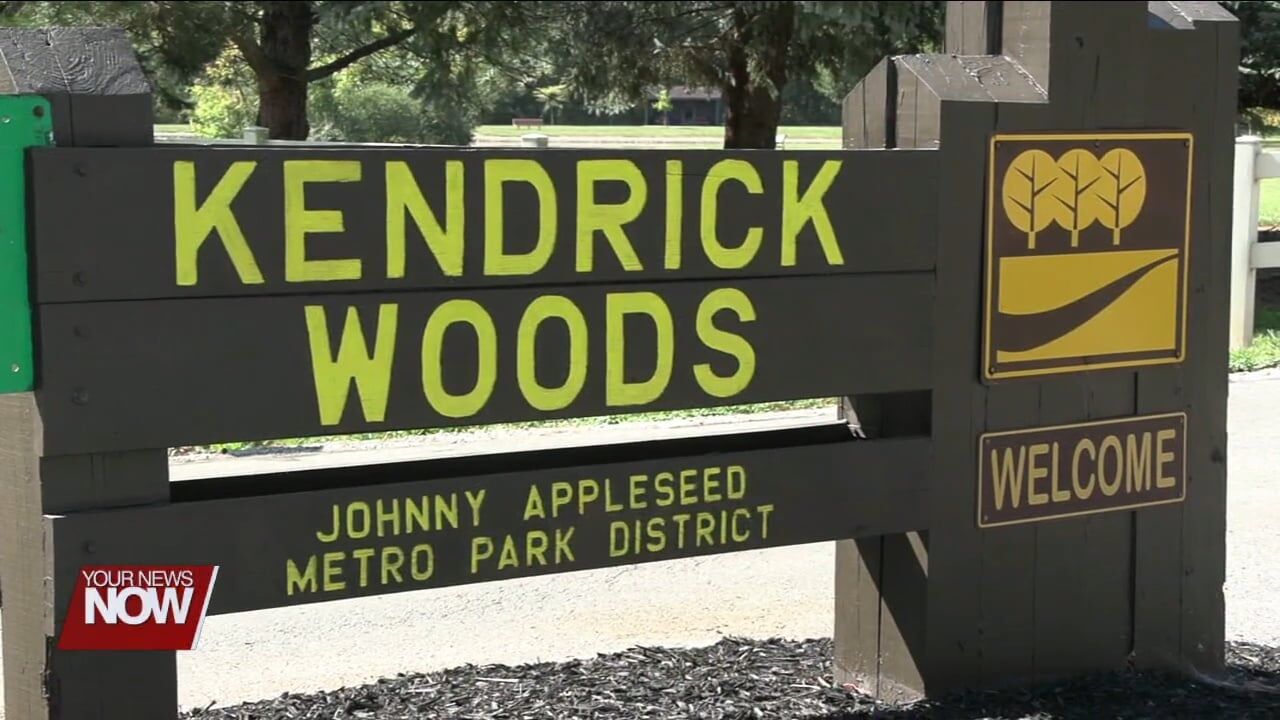 Wetlands project is about 75% complete at Kendrick Woods